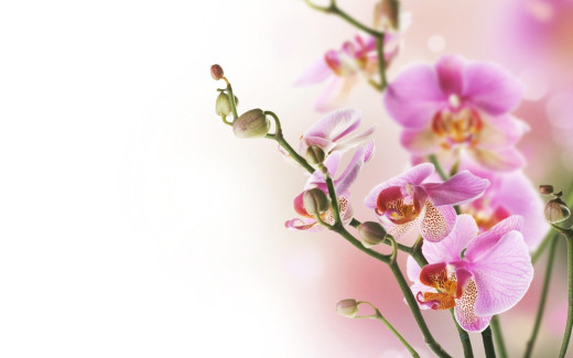 783869 (a): :2560x1600